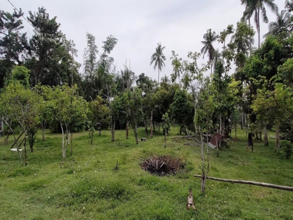 Industrial Lot for Sale