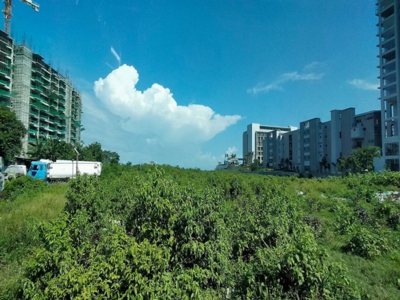 Beach Front Property For Sale